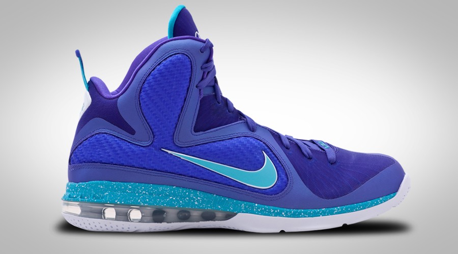NIKE LEBRON IX 9 JAMES Summit Lake Hornets